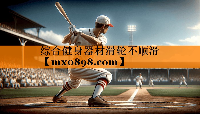 综合健身器材滑轮不顺滑