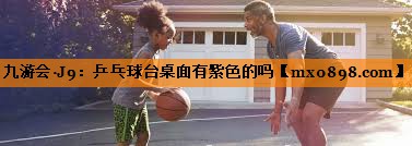 九游会·J9：乒乓球台桌面有紫色的吗