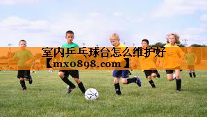 室内乒乓球台怎么维护好