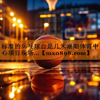 标准的乒乓球台是几米潮阳体育中心项目现场…