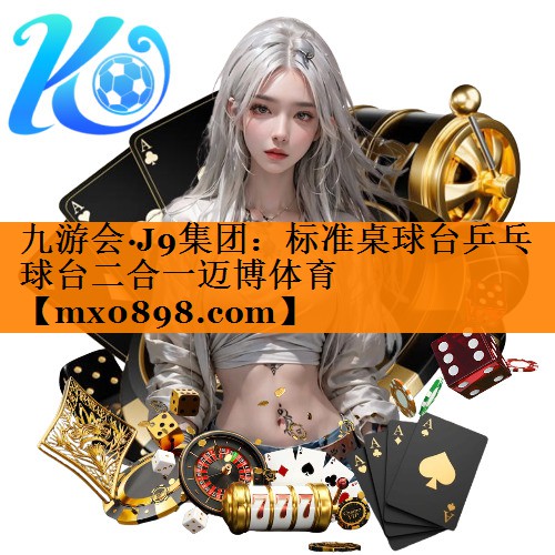 九游会·J9集团：标准桌球台乒乓球台二合一迈博体育