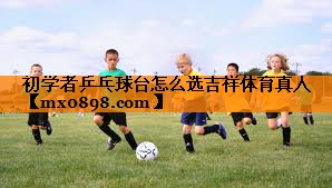 初学者乒乓球台怎么选吉祥体育真人