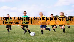 比赛乒乓球台哪个好五星体育直播在哪看