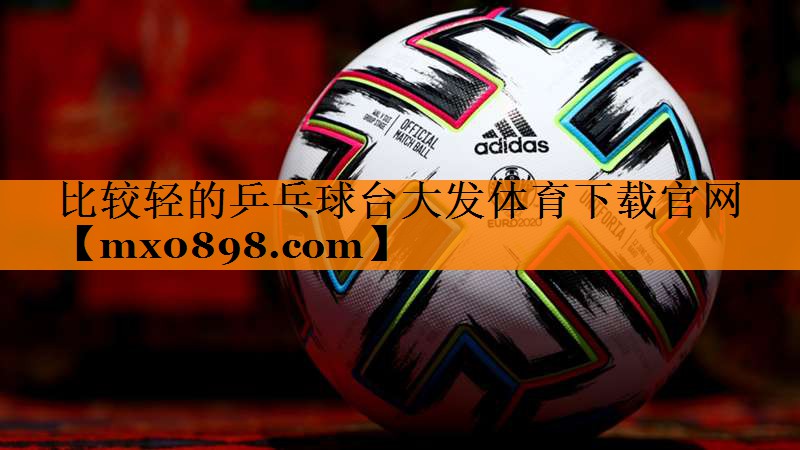 比较轻的乒乓球台大发体育下载官网