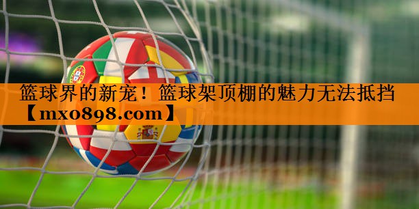 篮球界的新宠！篮球架顶棚的魅力无法抵挡