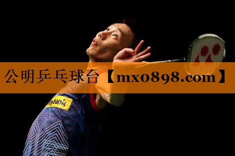 公明乒乓球台