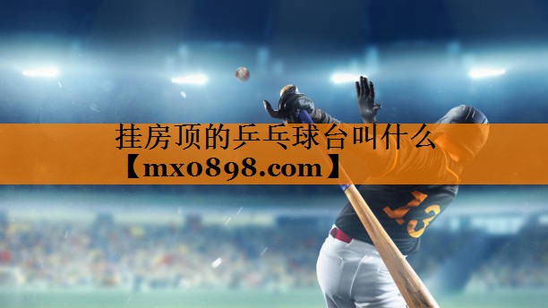 挂房顶的乒乓球台叫什么