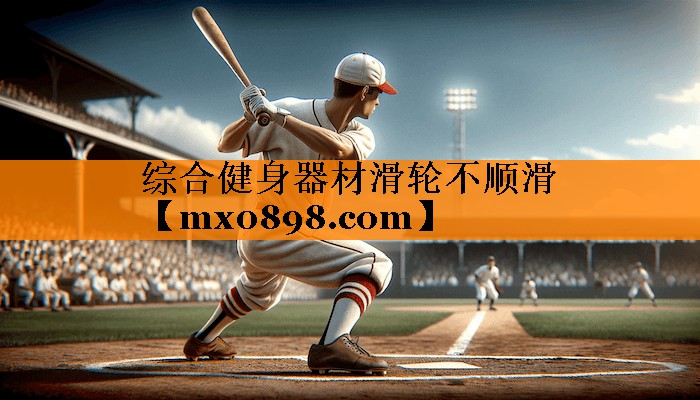综合健身器材滑轮不顺滑
