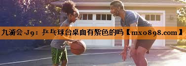 乒乓球台桌面有紫色的吗
