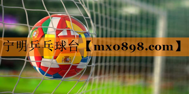 宁明乒乓球台