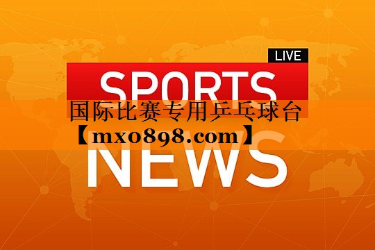 国际比赛专用乒乓球台