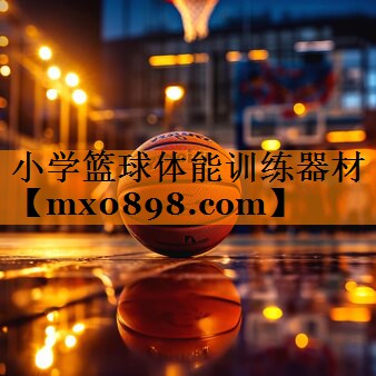 小学篮球体能训练器材