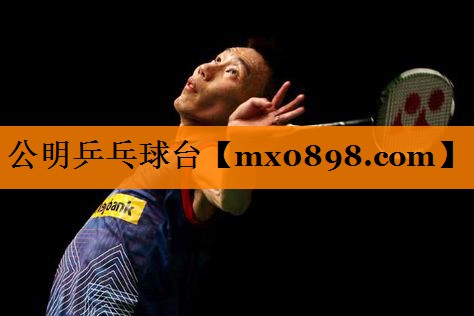 公明乒乓球台