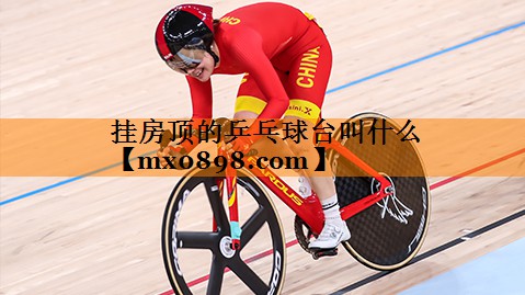 挂房顶的乒乓球台叫什么