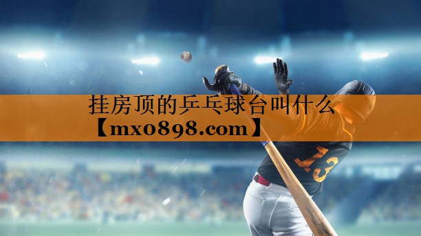 挂房顶的乒乓球台叫什么