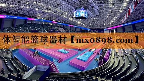 体智能篮球器材
