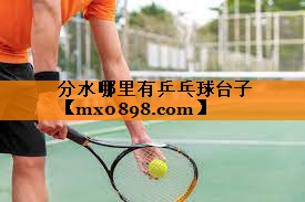 分水哪里有乒乓球台子