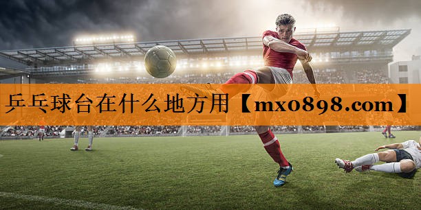 乒乓球台在什么地方用