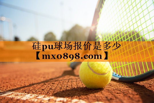 硅pu球场报价是多少