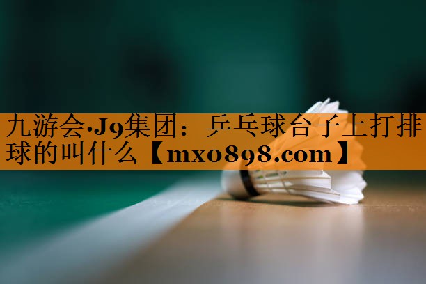 乒乓球台子上打排球的叫什么